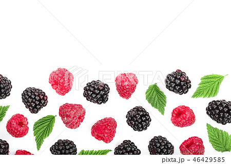 blackberry and raspberry with leaves isolated on white background with copy space for your text. Top blackberry and raspberry with leaves isolated on white background with copy space for your text. Top 46429585