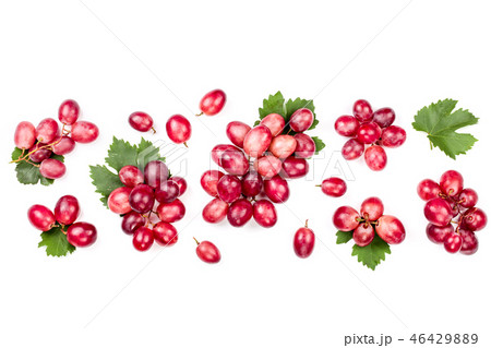 pink grapes isolated on the white background with copy space for your text. Top view. Flat lay 46429889