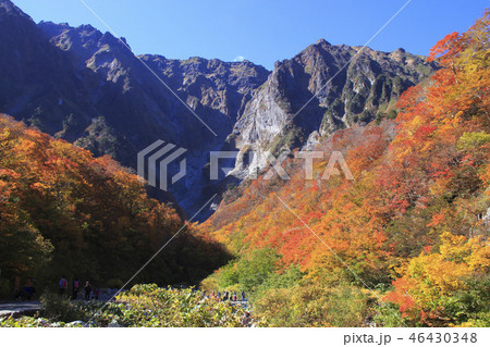 紅葉の谷川岳にて(一ノ倉沢) 紅葉の谷川岳にて(一ノ倉沢) 46430348