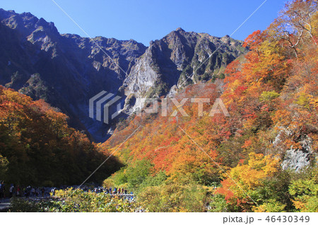 紅葉の谷川岳にて（一ノ倉沢） 46430349
