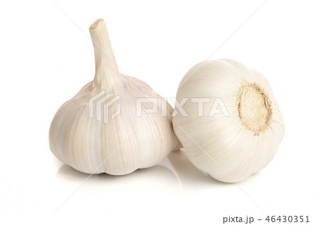 garlic isolated on white background close up garlic isolated on white background close up 46430351