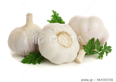 garlic with parsley leaf isolated on white background 46430356