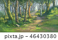 fantasy forest background digital painting 46430380