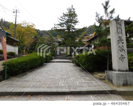 第八番長谷寺 46430467
