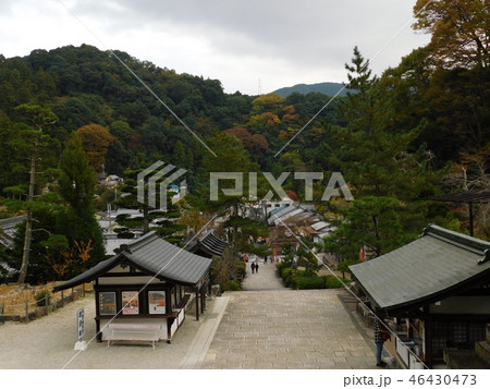 第八番長谷寺 第八番長谷寺 46430473