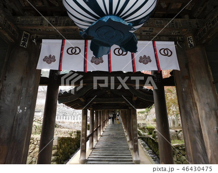 第八番長谷寺 46430475