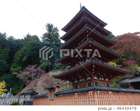 第八番長谷寺 第八番長谷寺 46430479