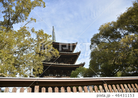 【奈良県】世界遺産・興福寺(五重塔) 【奈良県】世界遺産・興福寺(五重塔) 46431153