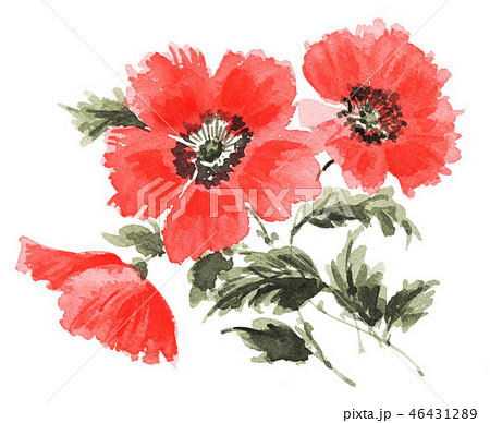 poppys181218pix7 poppys181218pix7 46431289