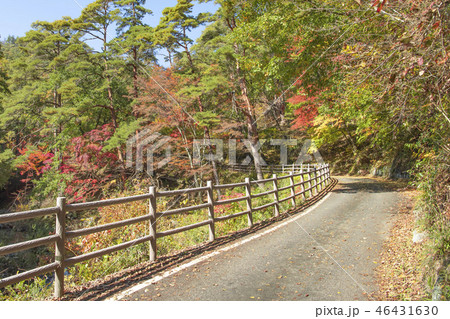 昇仙峡 御嶽昇仙峡 秋イメージ 紅葉 山岳 昇仙峡 御嶽昇仙峡 秋イメージ 紅葉 山岳 46431630