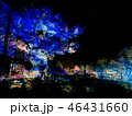 青い木の背景画像 46431660