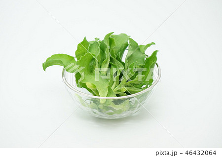 アイスプラント 46432064