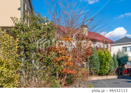 新しい街　住宅街　大規模分譲地 46432115