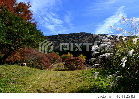雲仙岳　池の原園地の秋の景観 46432583
