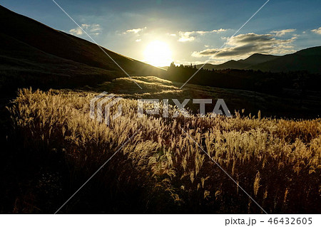 泉水グリーンロード すすき 泉水グリーンロード すすき 46432605