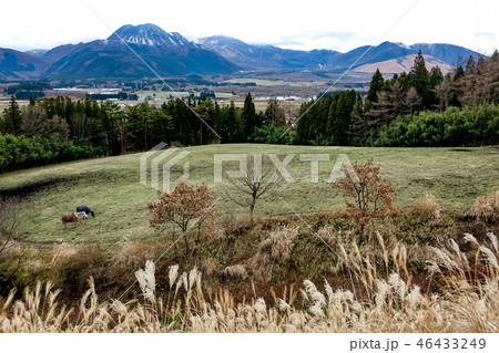 やまなみハイウエイ 千町無田 やまなみハイウエイ 千町無田 46433249