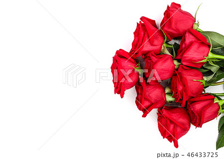 beautiful red rose with leaves isolated on white background with copy space for your text. Top view beautiful red rose with leaves isolated on white background with copy space for your text. Top view 46433725