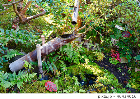 落柿舎（京都） 46434016