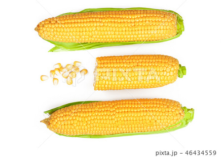 ear of corn isolated on a white background. Top view. Set or collection ear of corn isolated on a white background. Top view. Set or collection 46434559