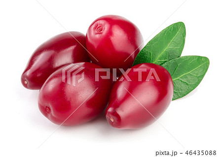 Red berries of cornel or dogwood with leaf isolated on white background 46435088