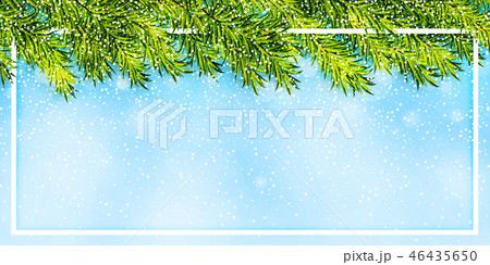 Winter background with christmas tree branches Winter background with christmas tree branches 46435650