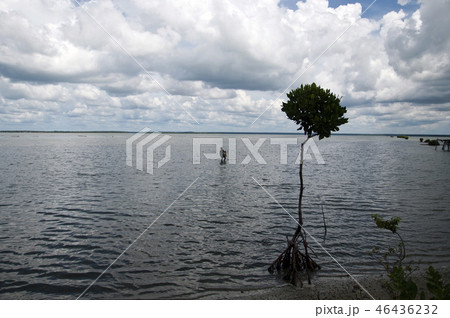 Lagoon puththalama Sri Lanka 46436232
