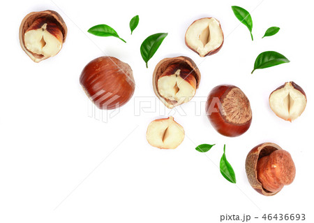Hazelnuts with leaves with copy space for your text isolated on white background. Top view. Flat lay 46436693