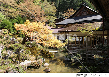 常照皇寺の庭園紅葉 46437306