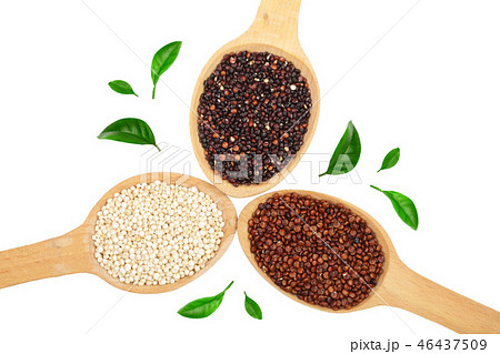 Black red white quinoa seeds in wooden spoon decorated with green leaves isolated on white 46437509