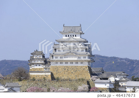 兵庫県・姫路城・春・満開の桜 46437673