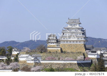 兵庫県・姫路城・春・満開の桜 兵庫県・姫路城・春・満開の桜 46437674