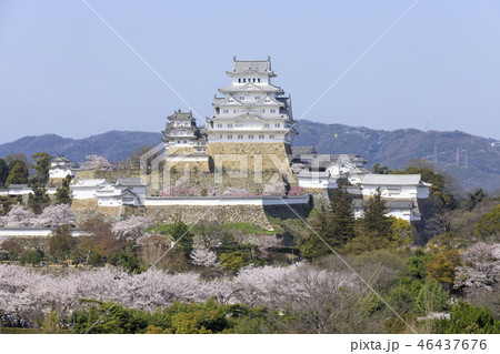 兵庫県・姫路城・春・満開の桜 46437676