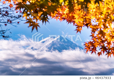 mountain fuji, lake kawaguchi, maple, Autumn 46437933