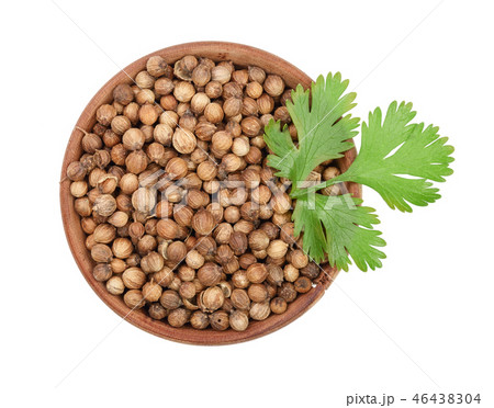 coriander seed and leaves in wooden bowl isolated on white background. Top view. Flat lay pattern coriander seed and leaves in wooden bowl isolated on white background. Top view. Flat lay pattern 46438304