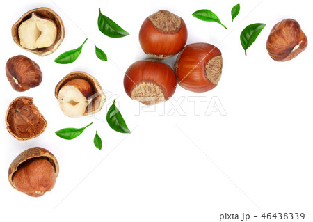 Hazelnuts with leaves with copy space for your text isolated on white background. Top view. Flat lay Hazelnuts with leaves with copy space for your text isolated on white background. Top view. Flat lay 46438339