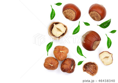 Hazelnuts with leaves isolated on white background. Top view. Flat lay 46438340