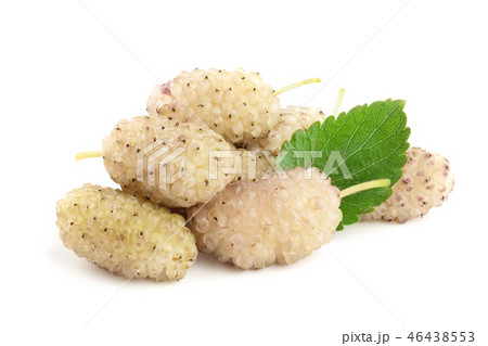 Fresh ripe white Mulberry berry with leaf isolated on white background macro Fresh ripe white Mulberry berry with leaf isolated on white background macro 46438553