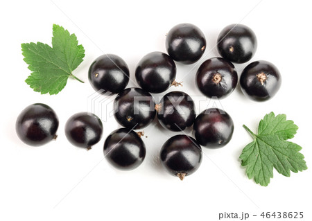 black currant with leaf isolated on white background. Top view. Flat lay pattern black currant with leaf isolated on white background. Top view. Flat lay pattern 46438625