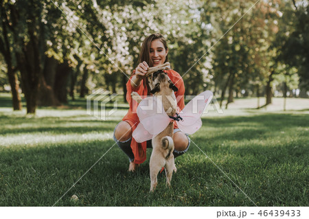 Cute puppy with fairy wings taking toy bone from his owner 46439433