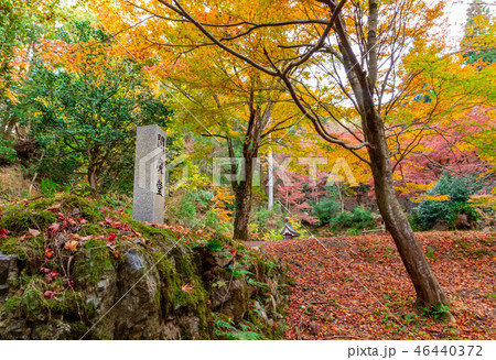 鶏足寺 閻魔堂跡の碑 46440372