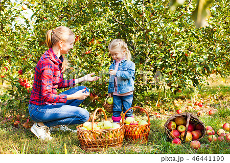 Woman and a girl at the orchard Woman and a girl at the orchard 46441190