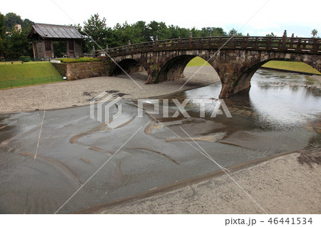 鹿児島県石橋記念公園 鹿児島県石橋記念公園 46441534