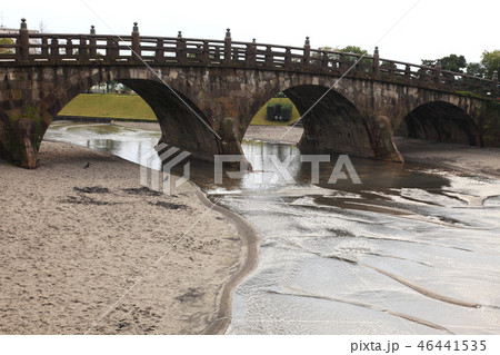 鹿児島県石橋記念公園 鹿児島県石橋記念公園 46441535