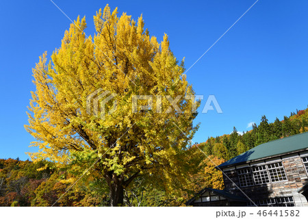 喰丸小学校へ行きました　　＃6 46441582