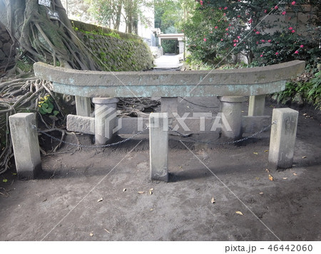 黒神埋没鳥居 黒神埋没鳥居 46442060