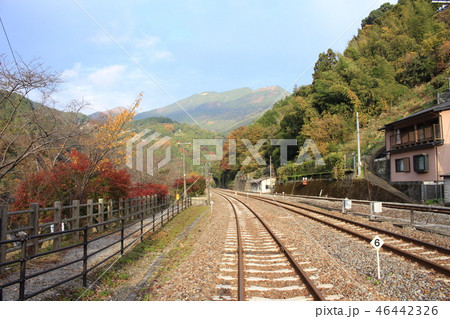 大歩危駅からの景色 大歩危駅からの景色 46442326