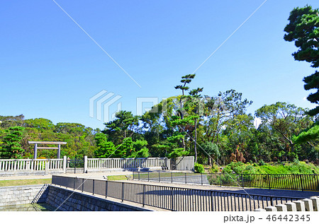 大阪 仁徳天皇陵古墳(世界文化遺産) 大阪 仁徳天皇陵古墳(世界文化遺産) 46442345