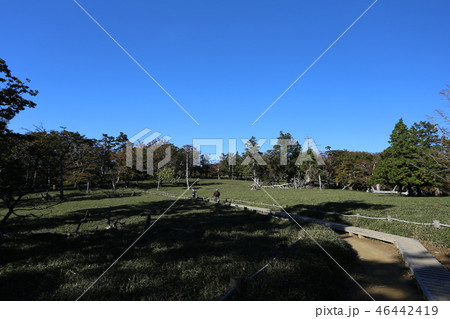 大台ケ原 大台ケ原 46442419