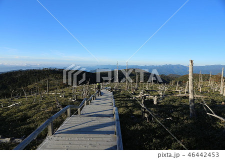 大台ケ原 大台ケ原 46442453