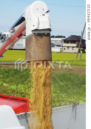 籾を排出するアンローダ  46442510